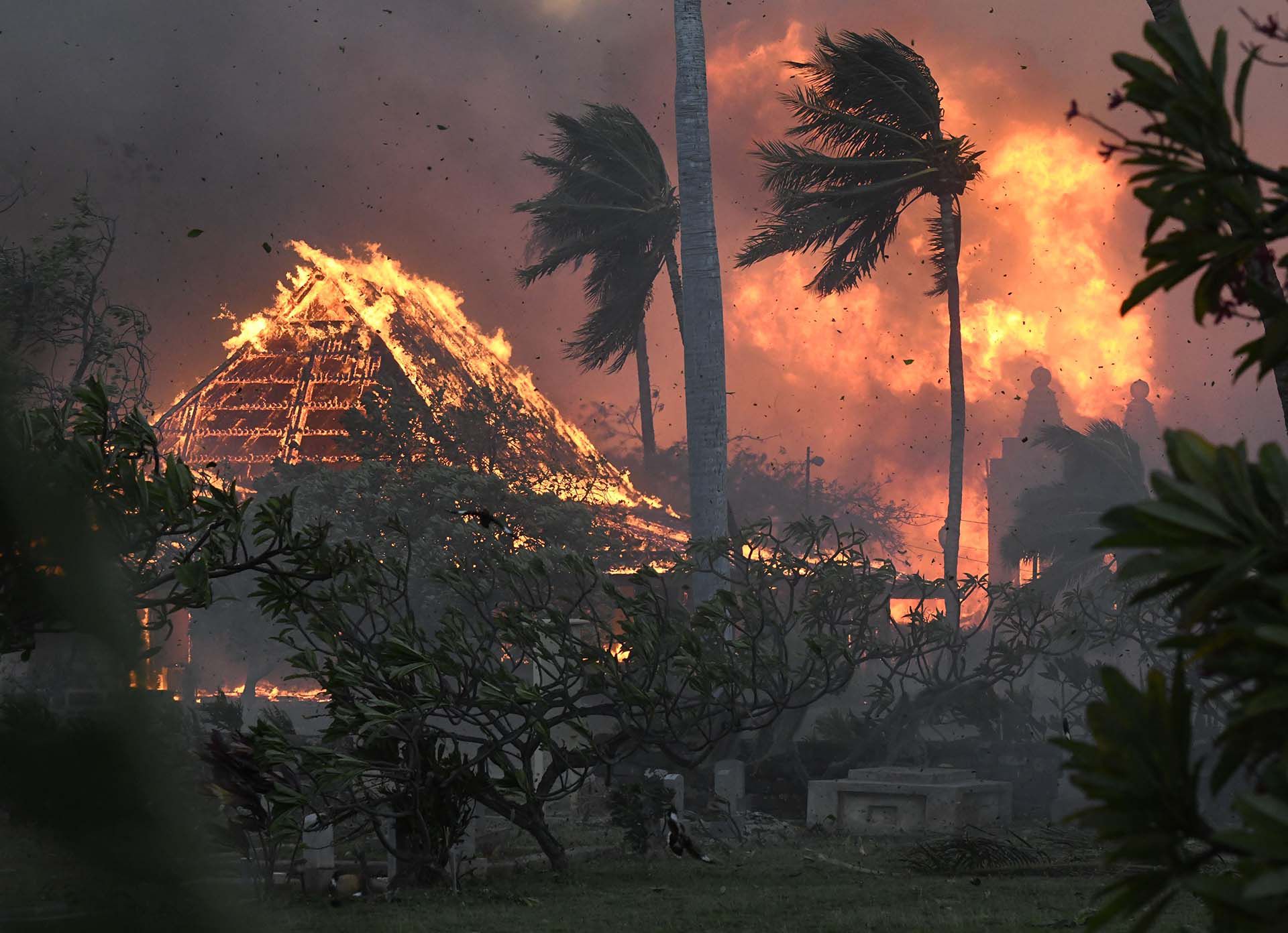 Impulsados ​​por un verano seco y los fuertes vientos de un huracán que pasaba, al menos tres incendios forestales estallaron en Maui esta semana, atravesando la maleza reseca que cubre la isla (Matthew Thayer/The Maui News via AP)