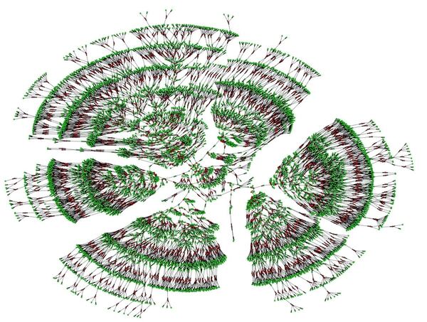Uno de los árboles genealógicos de 6.000 personas, que abarca siete generaciones. Los puntos verdes son individuos y los rojos, matrimonios. (UNIVERSIDAD DE COLUMBIA)