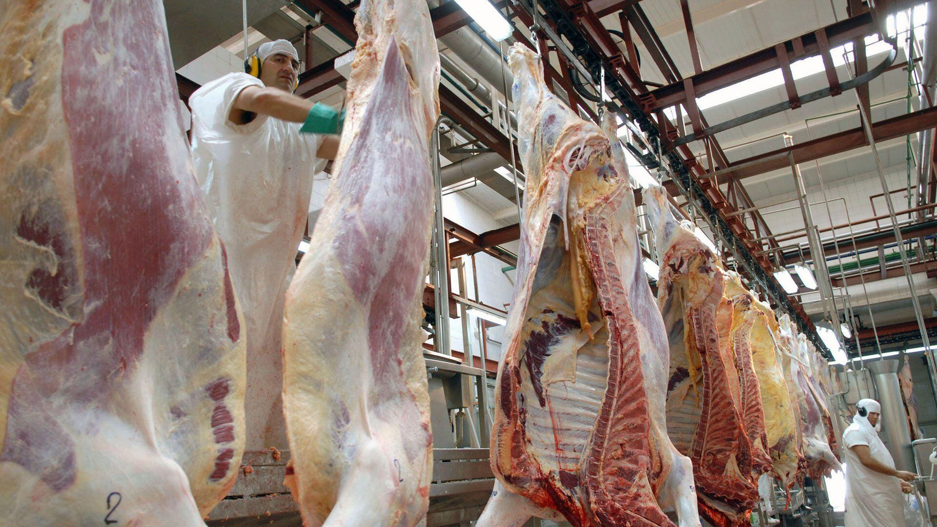 Especialista en temas ganaderos analizaron el impacto que tendrá la flexibilización de la exportación de carne vacuna anunciada días atrás por el Gobierno.  (NA)