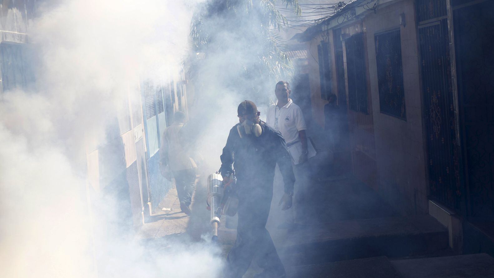 Durante varios años las campañas de fumigación hicieron bajar la cantidad de mosquitos circulantes. Pero las mismas no se sostuvieron en el tiempo