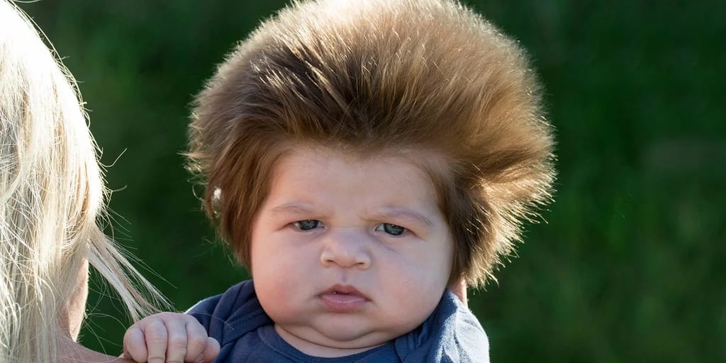 Archivo Premonición amistad El bebé con el mejor pelo del mundo es furor en las redes - Infobae