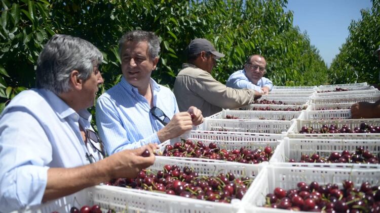 Luis Miguel Etchevehere y Ricardo Negri visitaron establecimientos de cerezas en Mendoza
