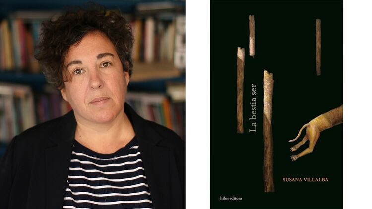 Libros Que Hacen Bien 14 Autores Eligen Su Titulo Favorito En