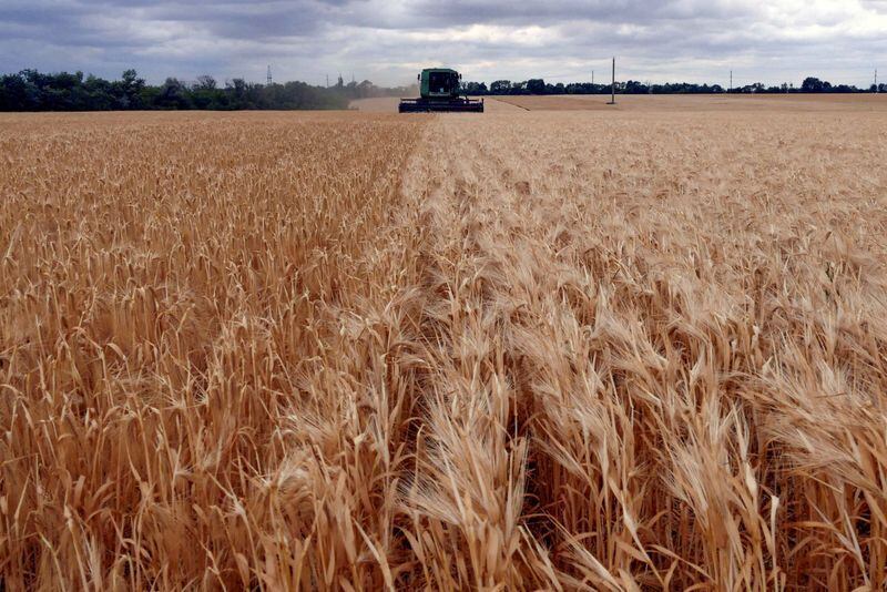 Cosecha de cereales en Odesa, Ucrania (Reuters)