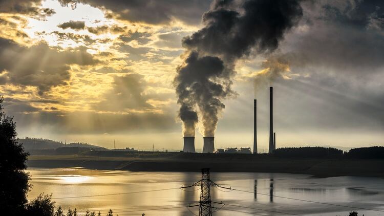 Las emisiones de gases están en un nivel récord (Shutterstock)