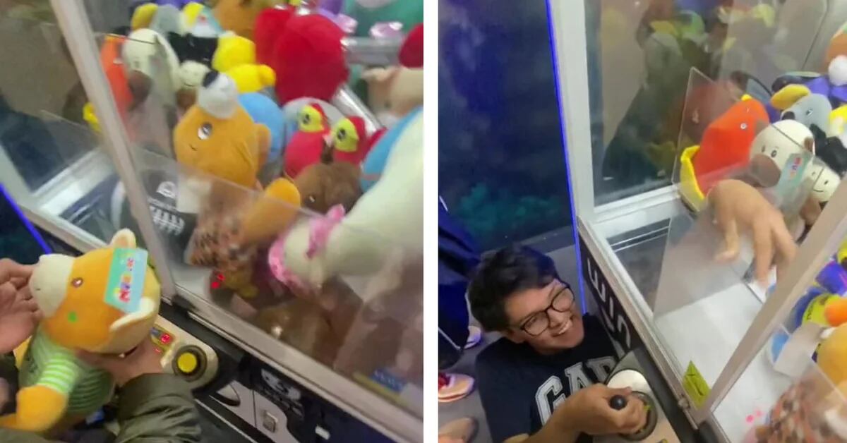 “Justice has been done”: a child took the stuffed animals out of the machine with his hand and in the networks they supported the robbery