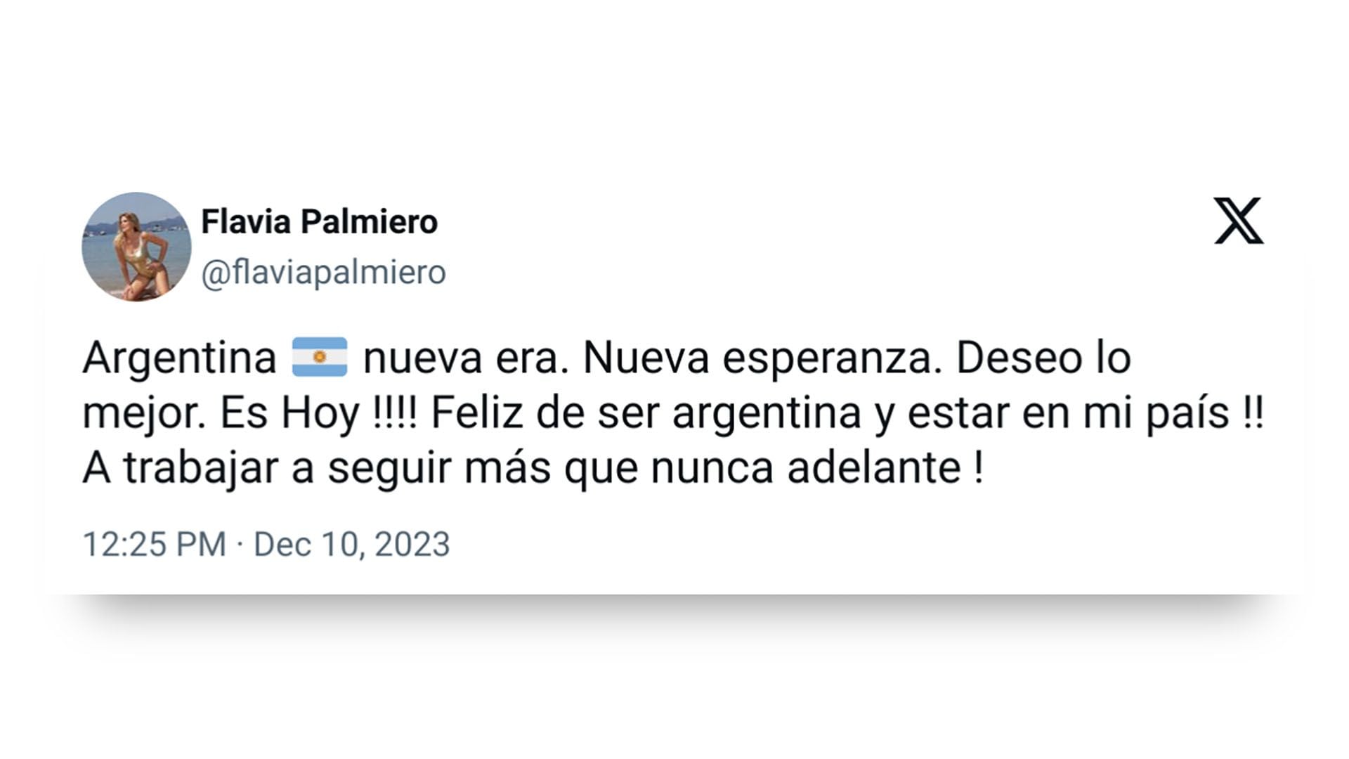 Asunción Javier Milei - Tuits famosos