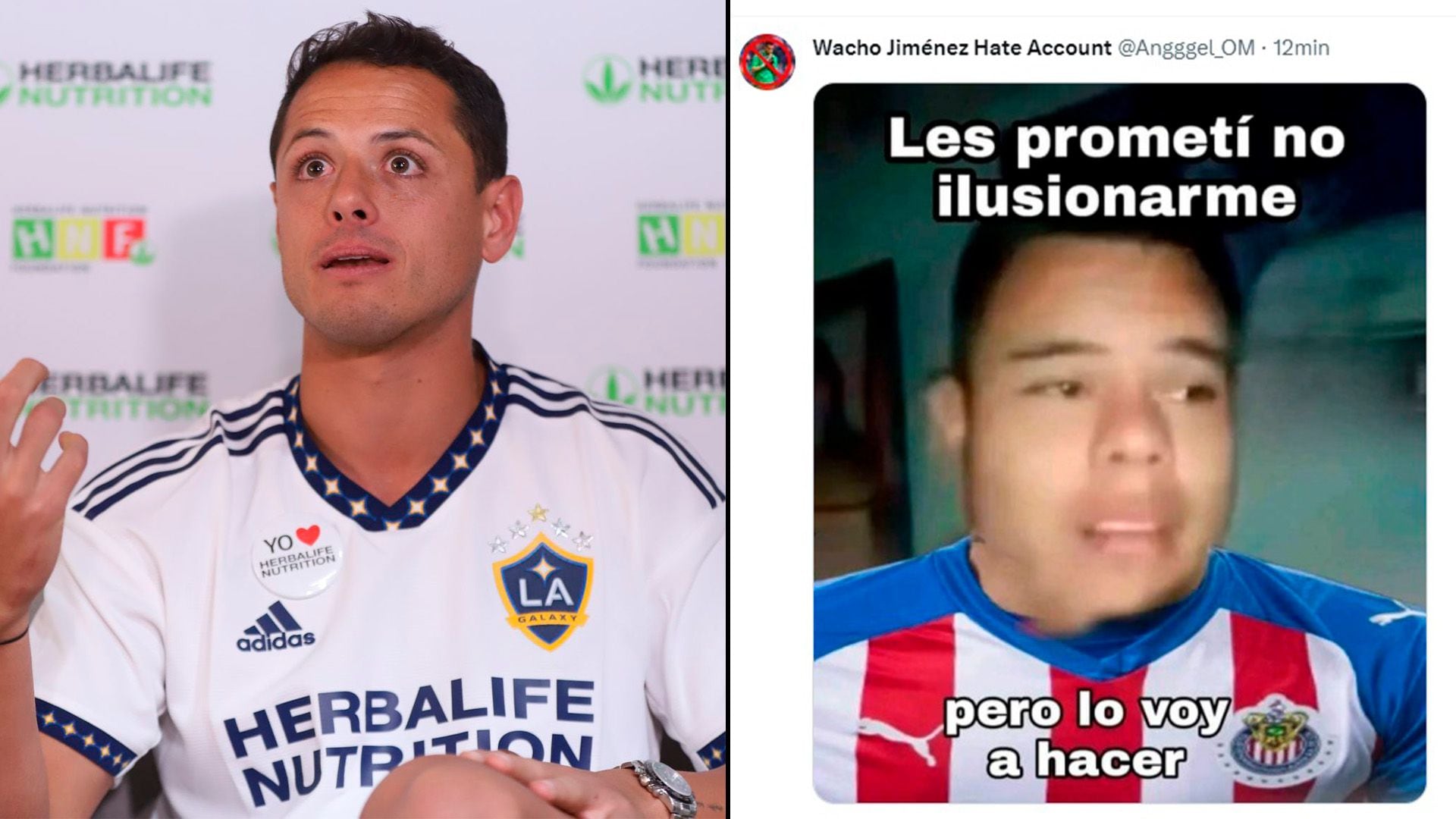 Chicharito a Chivas: los mejores memes que desató el supuesto regreso de  Javier Hernández - Infobae, image size:1920x1080
