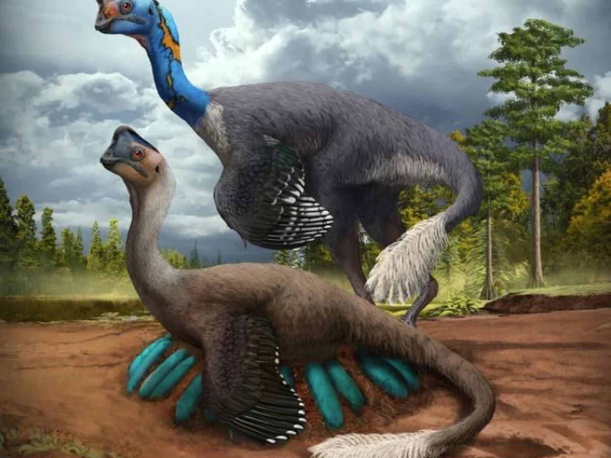  dinosaurio excavado incubando y con crías fosilizadas -  Infobae