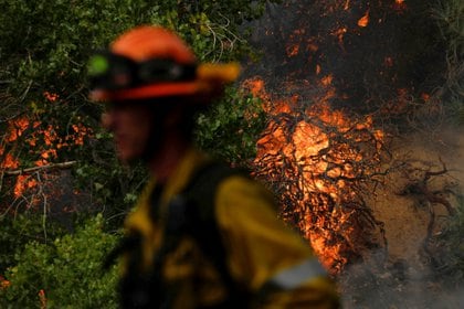 Un bombero monitorea un foco puntual mientras un incendio forestal de rápido movimiento, llamado Lake Fire, arde en un área montañosa del Bosque Nacional Ángeles al norte de Los Ángeles, California (Reuters)