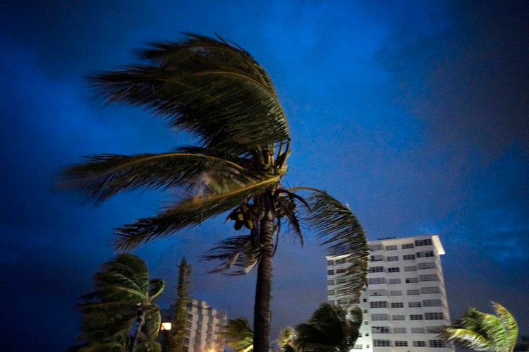 Fuertes vientos agitan las palmas de los cocoteros a la llegada del huracán Dorian a Freeport, Gran Bahama, Bahamas, el doming 1 de septiembre de 2019. (AP Foto/Ramón Espinosa)