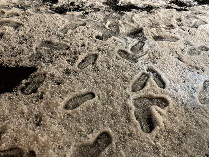 Se prevé caída de granizo en 11 estados del país (Foto: Andrea Murcia/Cuartoscuro) 
