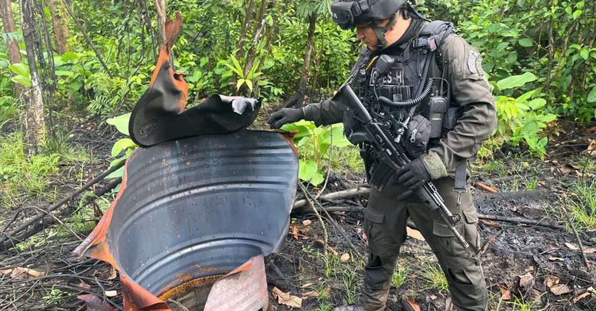 Police chief explains why coca plants were not eradicated in January
