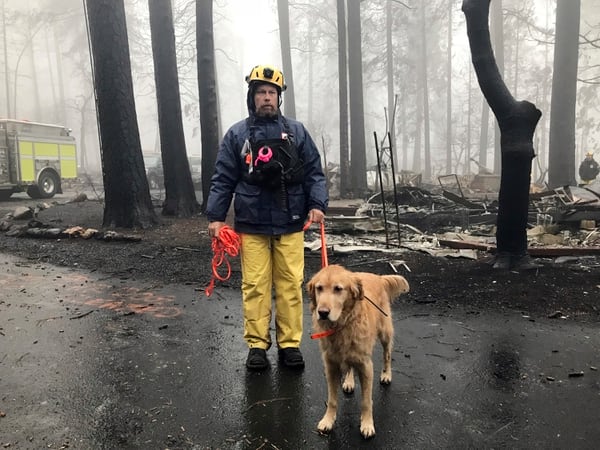 Eric Darling y su perro Wyatt son parte del equipo de bÃºsqueda del condado Orange en el sur de California, uno de varios equipos que hacen una segunda bÃºsqueda de un parque para casas rodantes despuÃ©s del mortal incendio en Paradise, California, el viernes 23 de noviembre de 2018. (AP Foto/Kathleen Ronayne)