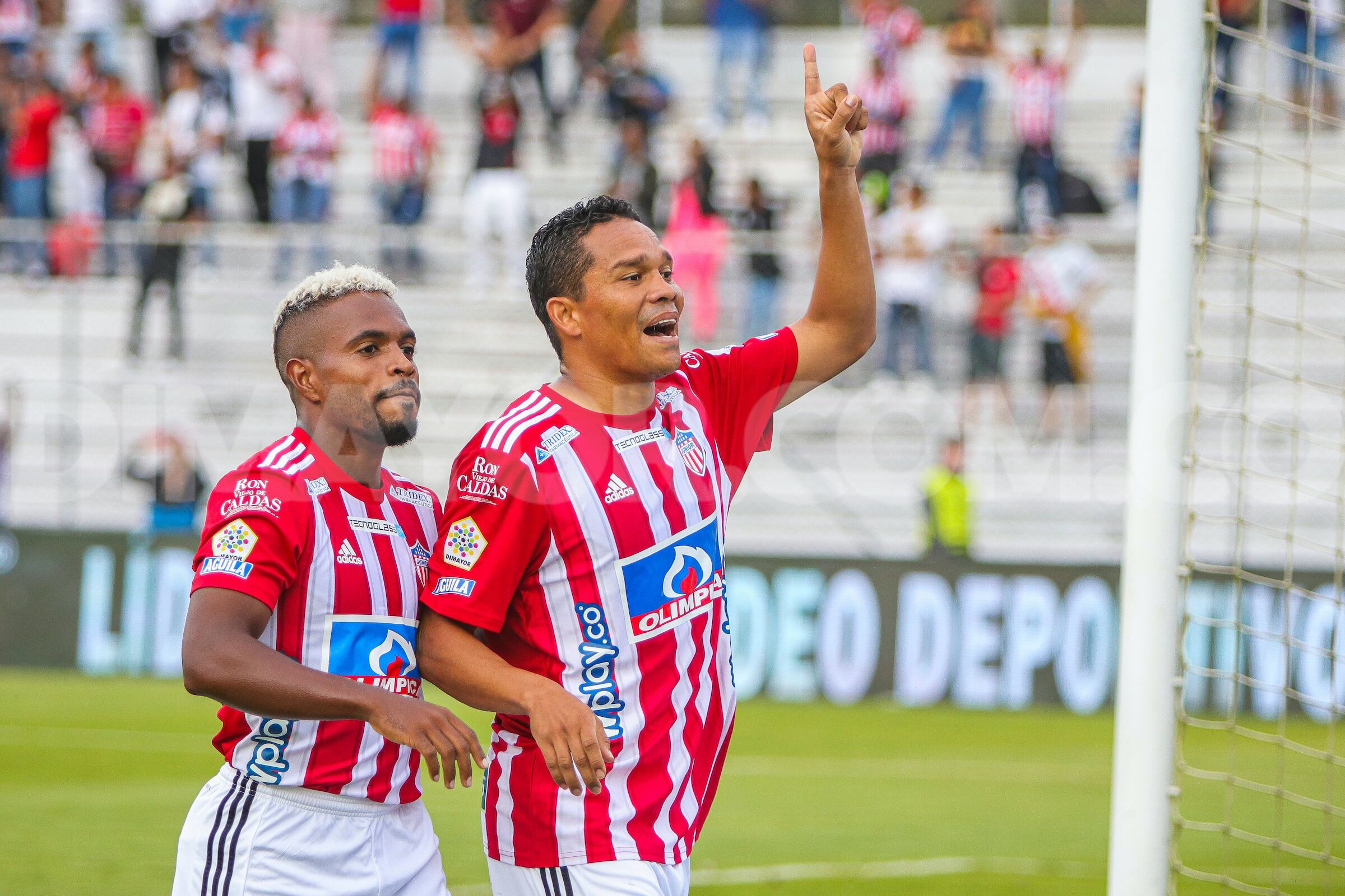 Carlos Bacca anotó el gol del empate del Junior ante Águilas Doradas en el último enfrentamiento entre ambos equipos. Dimayor.