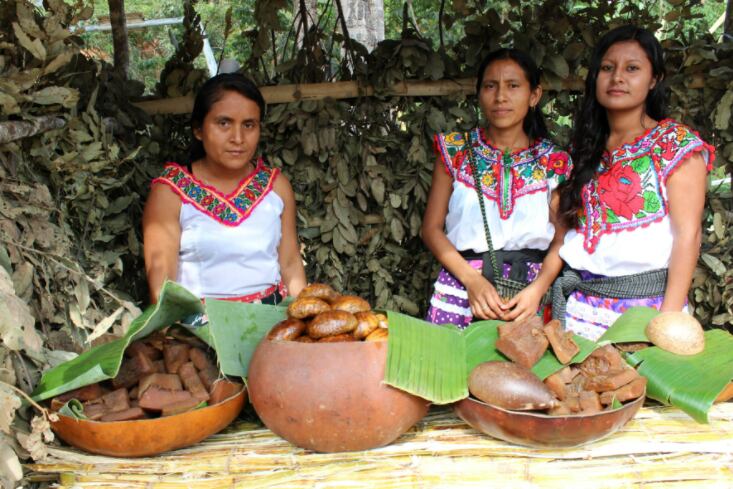 mujeres indigenas mexico credito unam