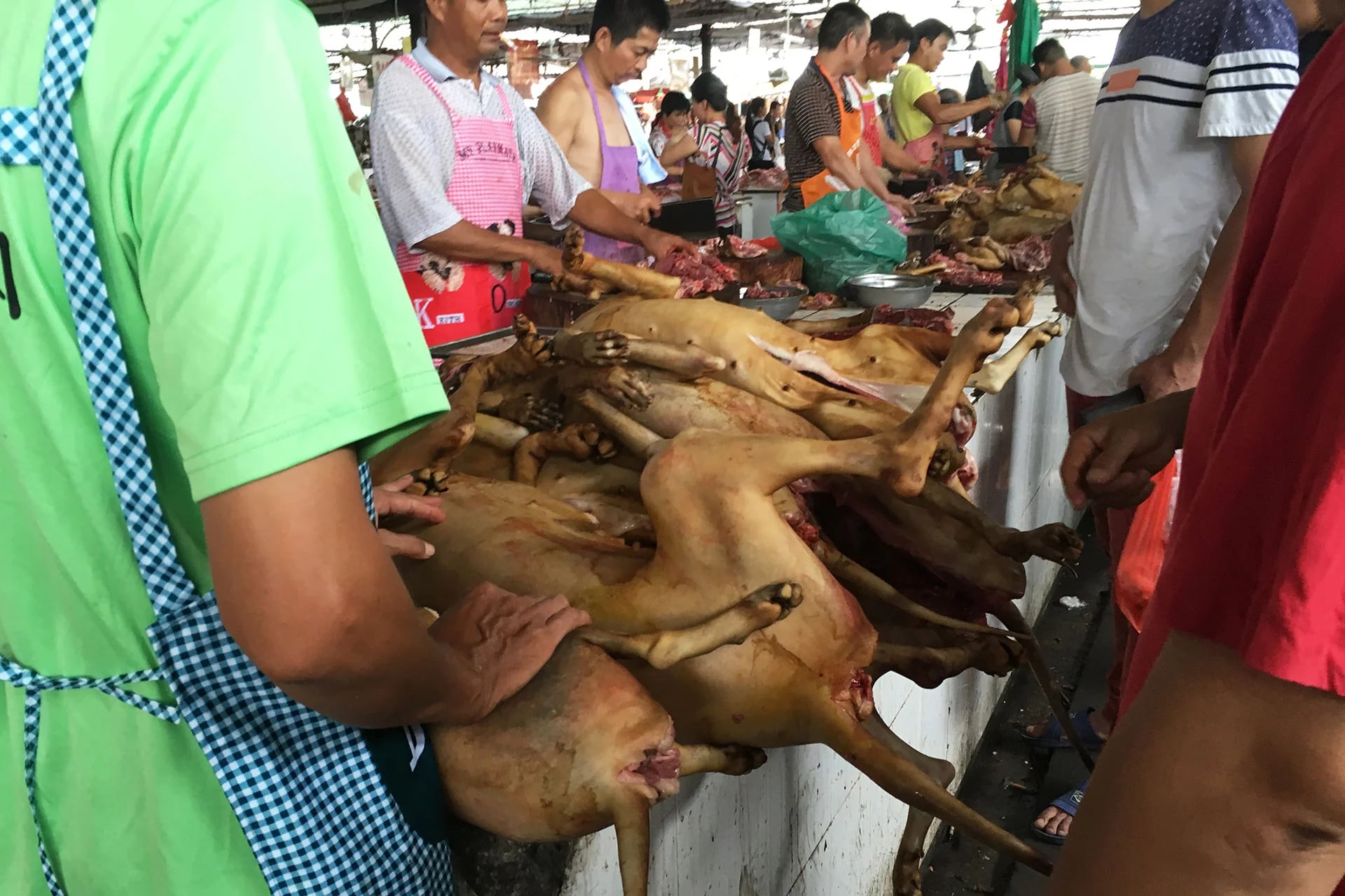 Residentes del lugar alegan que la carne de perro es parte de la tradición. “Los perros pequeños no saben bien, tampoco los que son muy gordos”, explicó un vecino del mercado