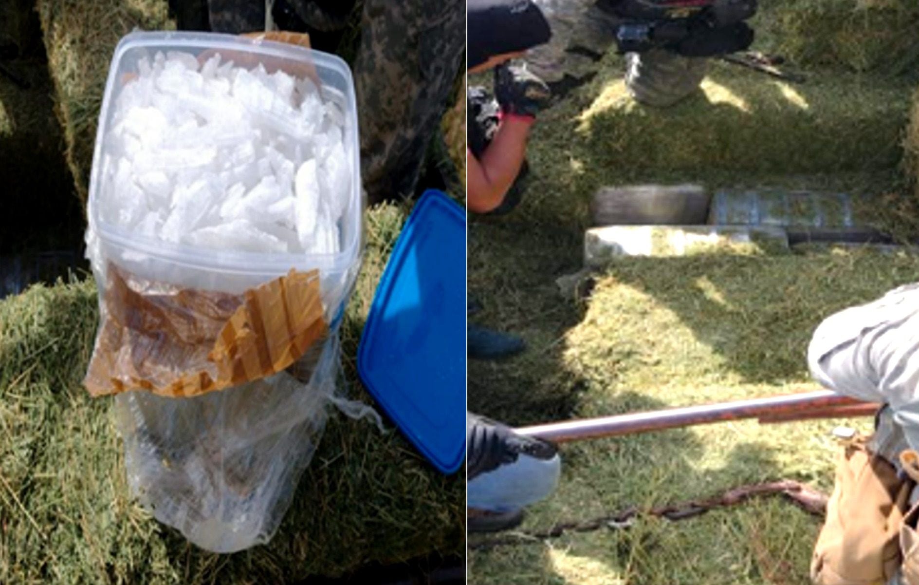 The substances were hidden in bales of alfalfa (Photo: FGR)