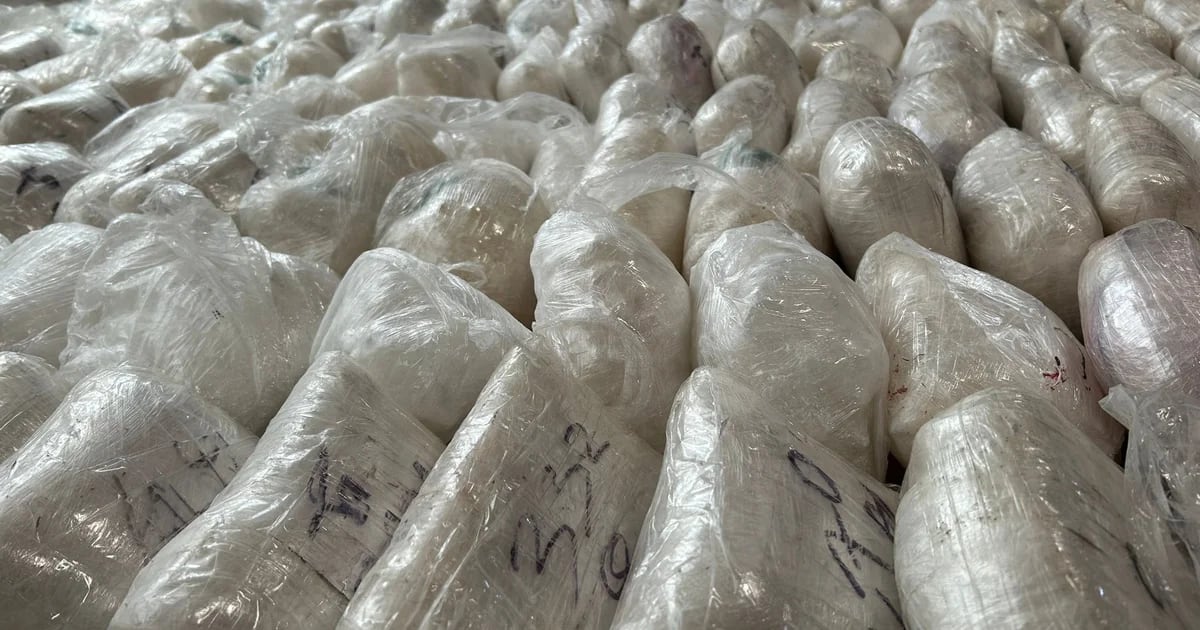 A member of the Sinaloa cartel hid the biggest methamphetamine nursery in Spain in a chalet in Valencia: 1,800 kilos