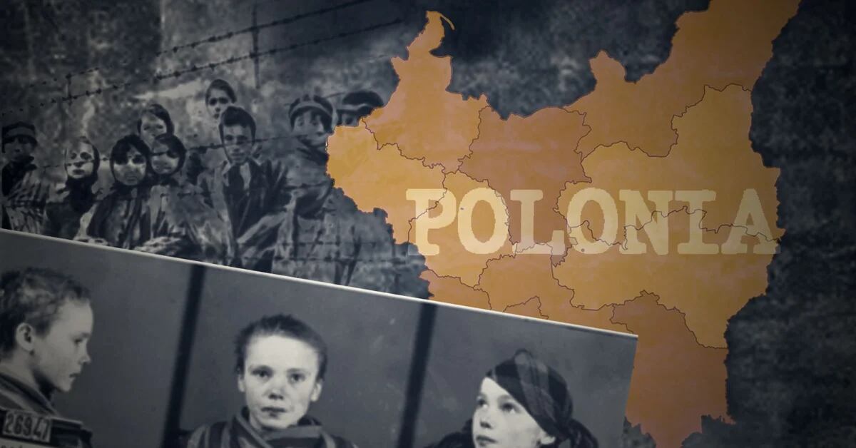 Dlaczego Polska prosi Niemcy o ponad bilion euro reparacji 78 lat po II wojnie światowej