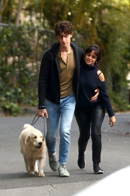 Shawn Mendes y Camila Cabello salieron a pasear y aprovecharon para sacar a su perro por las calles de Los Ángeles. Se mostraron muy románticos durante su caminata diaria