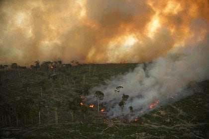 07/08/2020 Incendio forestal en la Amazonía POLÍTICA SUDAMÉRICA EUROPA ASIA EUROPA BRASIL RUSIA INDONESIA ESPAÑA SOCIEDAD GREENPEACE