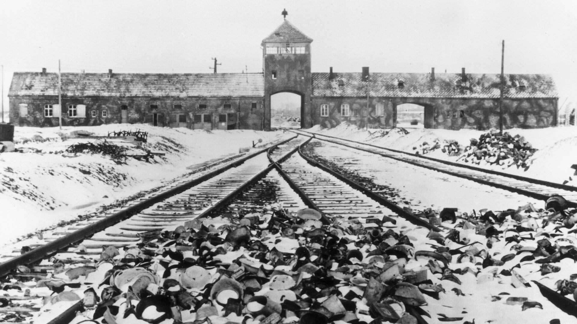 Liberacion de Auschwitz