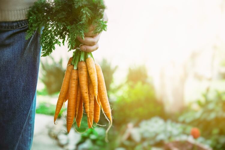Los alimentos también hablan de cuán nocivos pueden ser y están directamente asociados a la degradación ecológica del planeta) (Shutterstock.com)