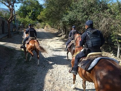Policía de Camargo realizan recorridos a caballo (Foto: Europa Press)

