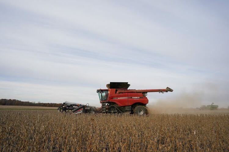 El aumento de las retenciones podría llegar al 34% para la soja y al 124% para trigo y maíz