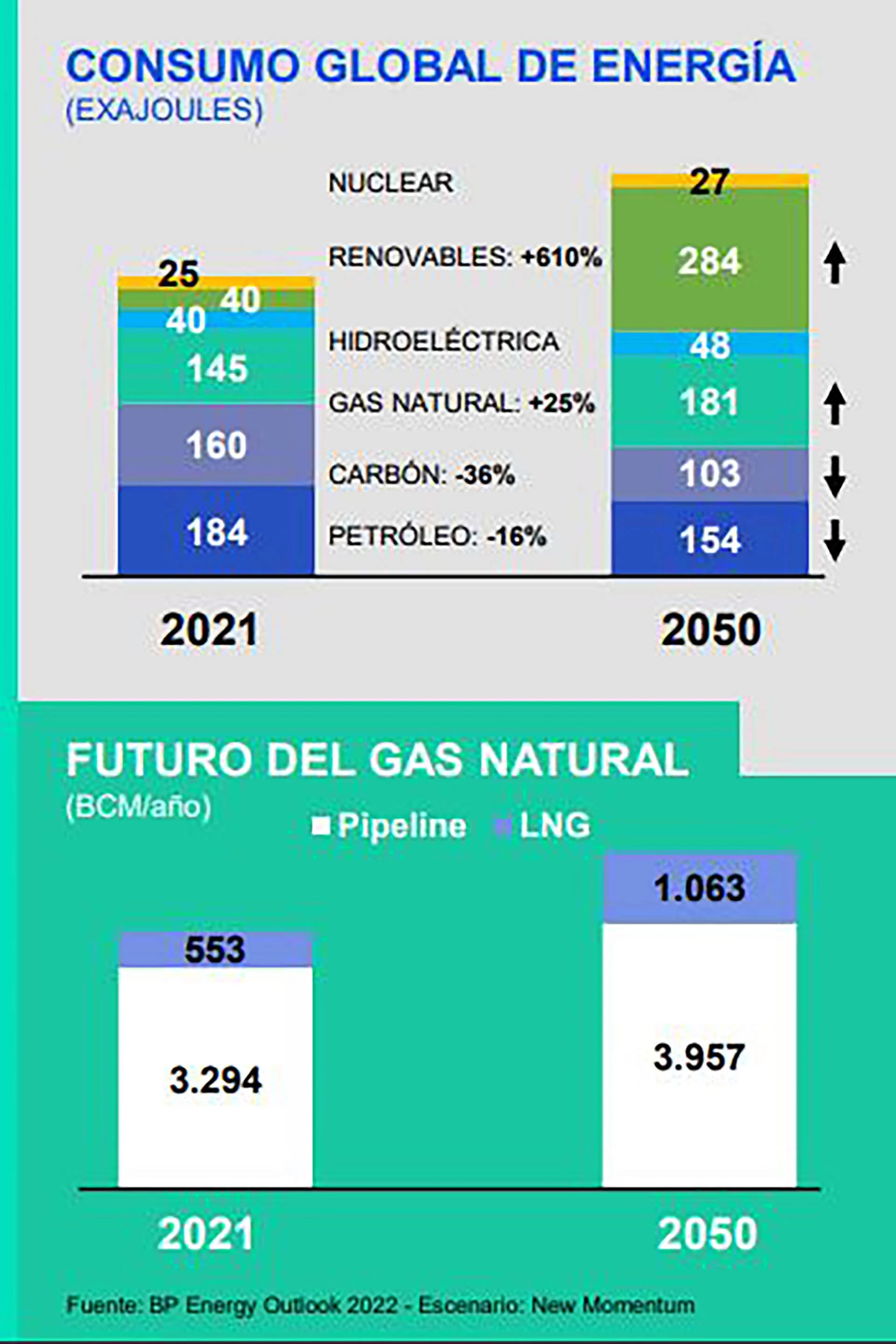 La evolución de consumo energético hacia 2050 que presentaron los directivos de YPF en Diputados