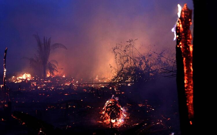 Incendio en Machadinho do Oeste, estado de Rondonia, Brasil, el 2 de septiembre de 2019 (REUTERS/Ricardo Moraes)