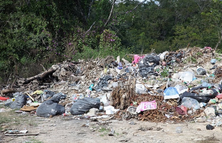 Parte de la basura que contamina a la laguna. (Foto: Kamila Chomicz)