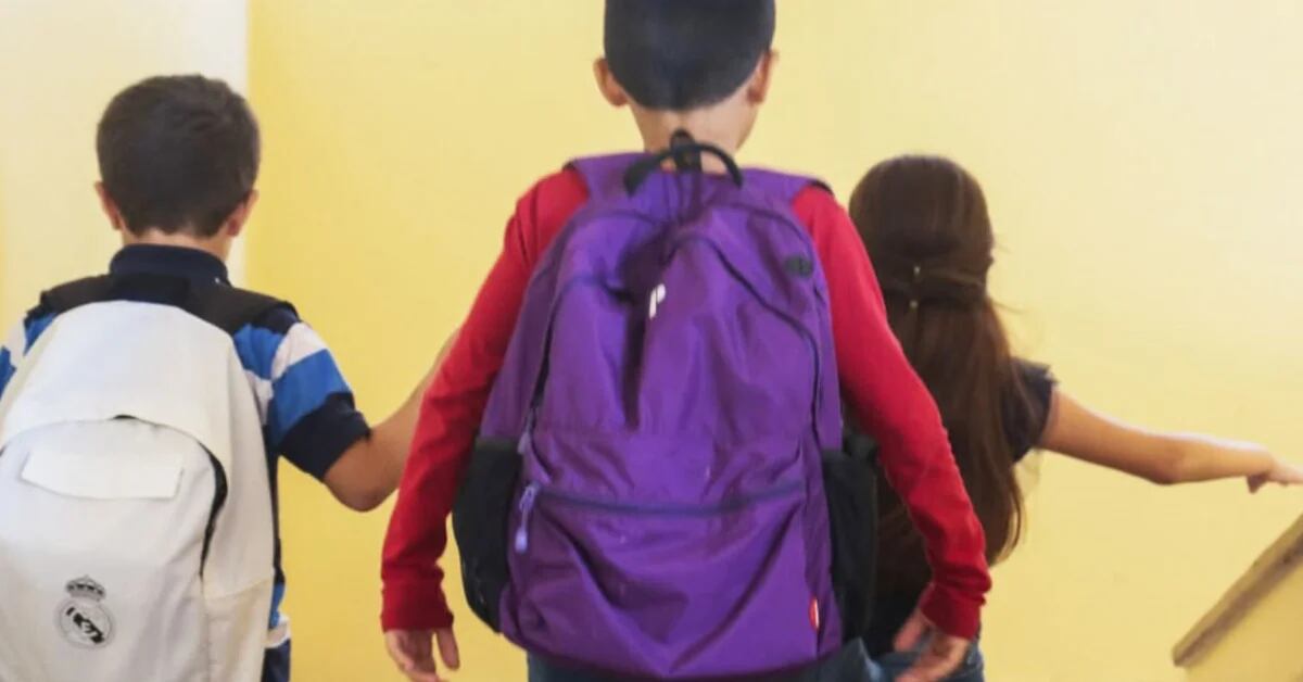 Back to school 2023: the essentials in a lunch box, instructions on the backpack and how to change your habits for the start of the school year