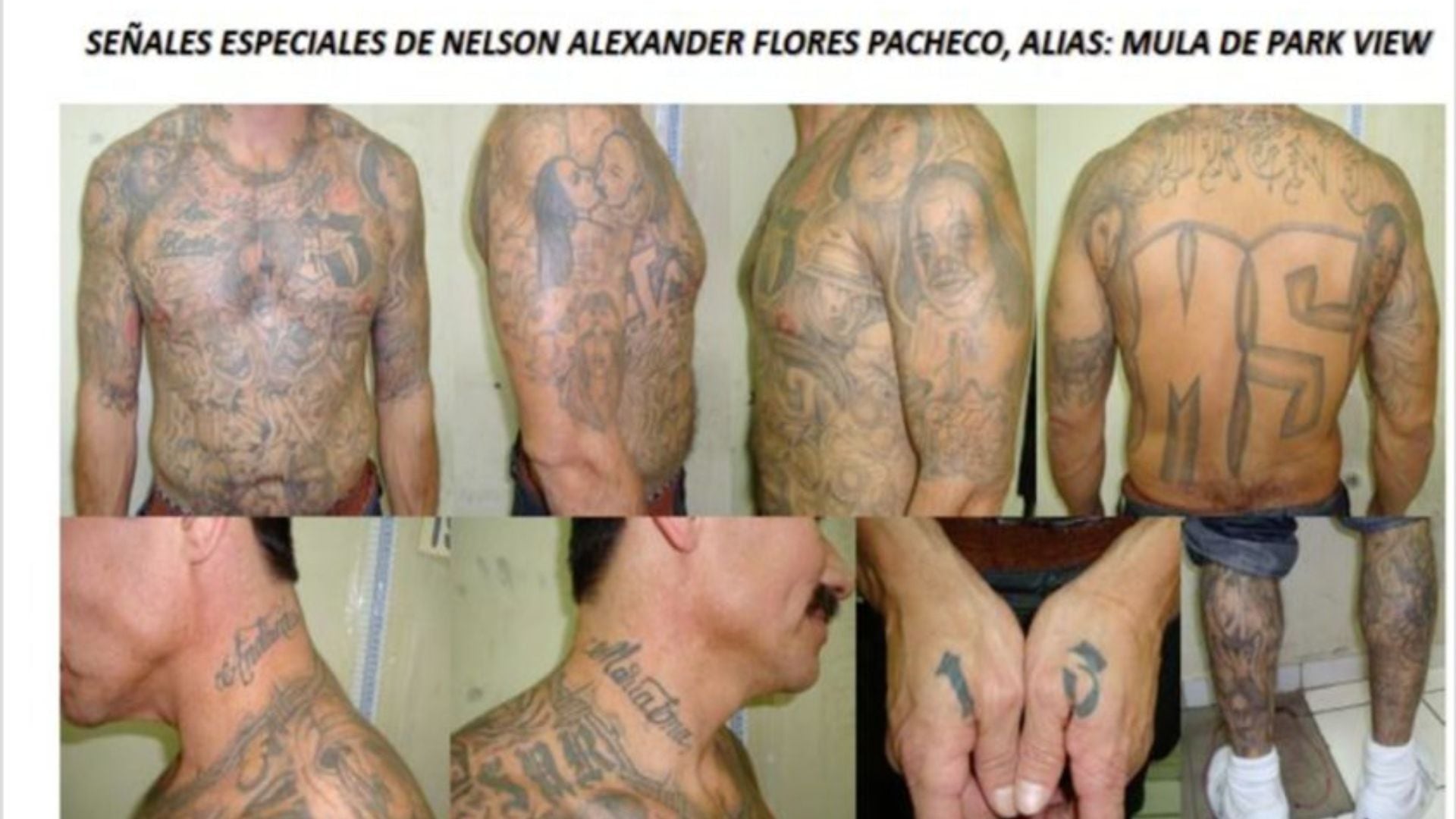 Aspectos distintivos de "Mula" difundidos por la Policía de El Salvador. (PNC de El Salvador)