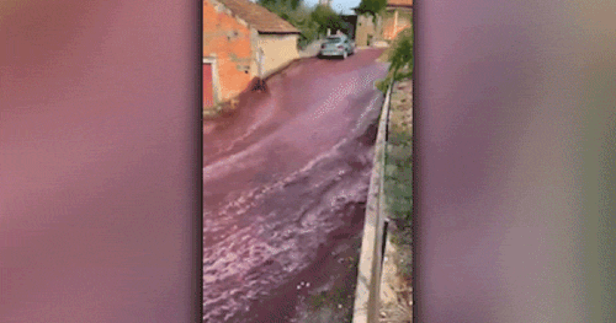 Dois milhões de litros de vinho tinto inundaram as ruas de uma cidade em Portugal