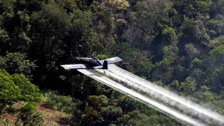 Colombia realiza fimigaciones aéreas con herbicidas para erradicar cultivos ilícitos desde 1982.