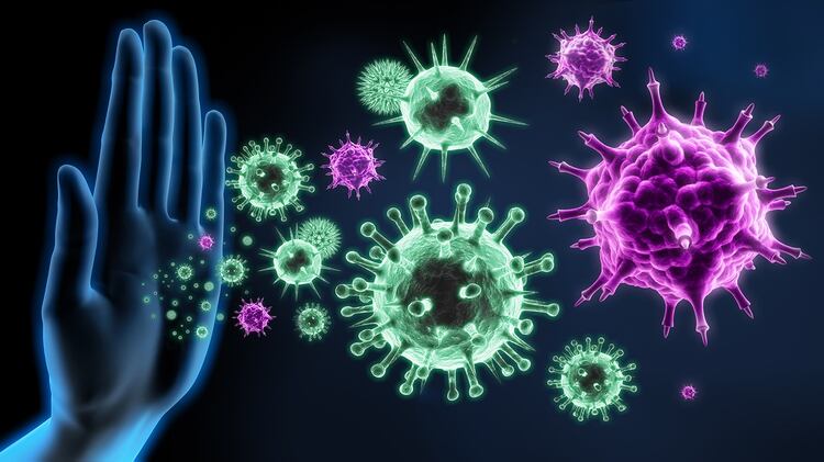 Cuando un virus ingresa al organismo es reconocido por el sistema inmunológico (Shutterstock)