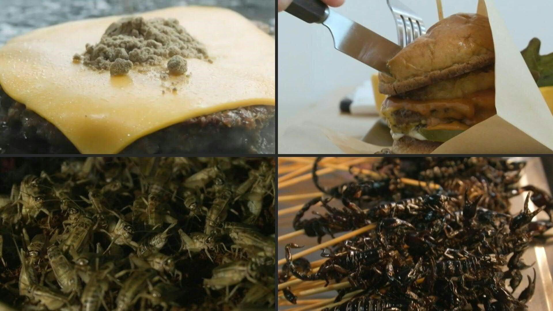Barra energética, galleta o salchicha: los insectos, en particular los grillos, se encuentran en muchos platos de Tailandia, una señal del interés creciente por esta fuente de proteínas amigable con el planeta.