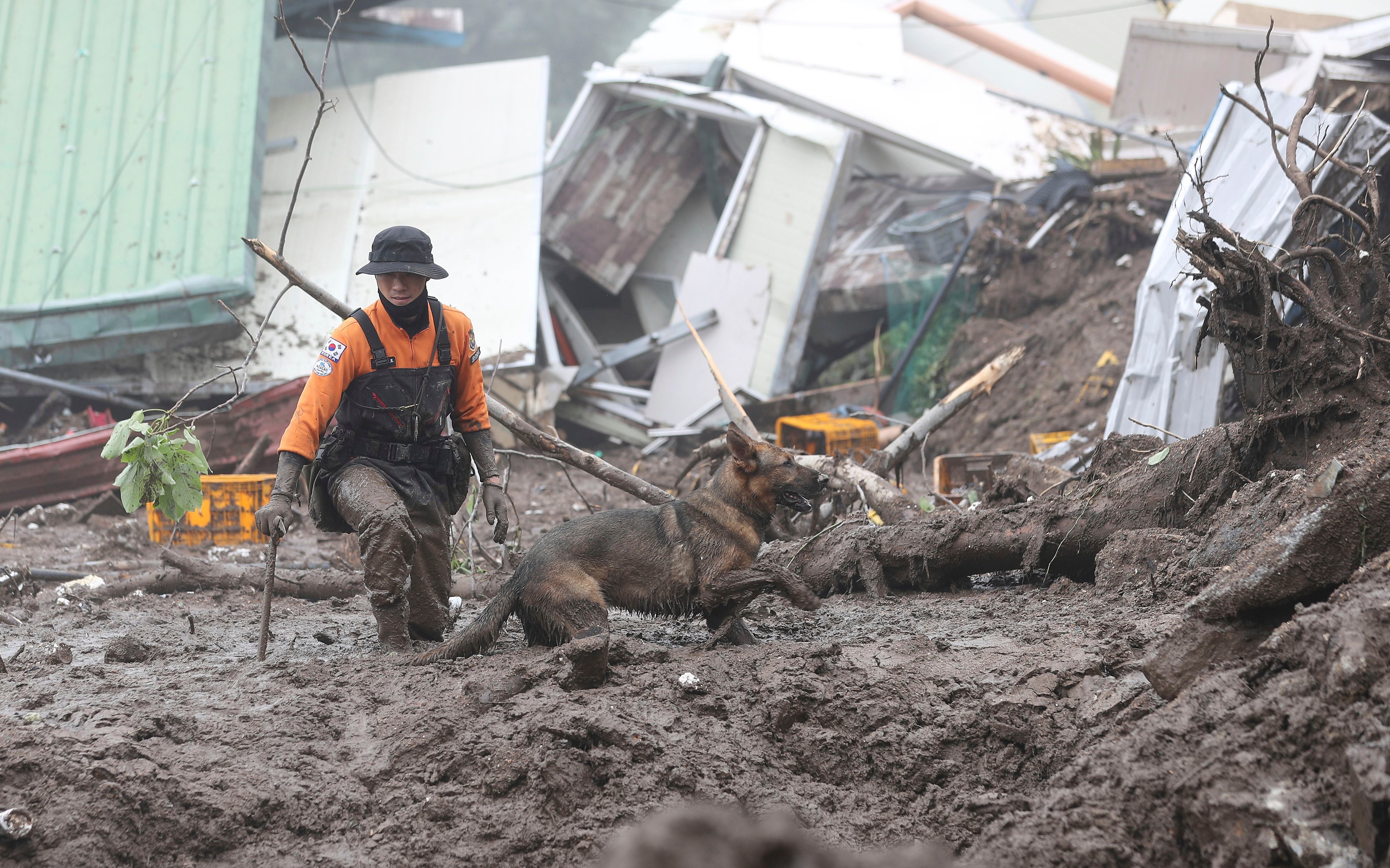 Un rescatista ayudado por un perro busca personas en el sitio donde ocurrió un deslave provocado por las fuertes lluvias en Yecheon, Corea del Sur. (Yun Kwan-shick/Yonhap vía AP, archivo)