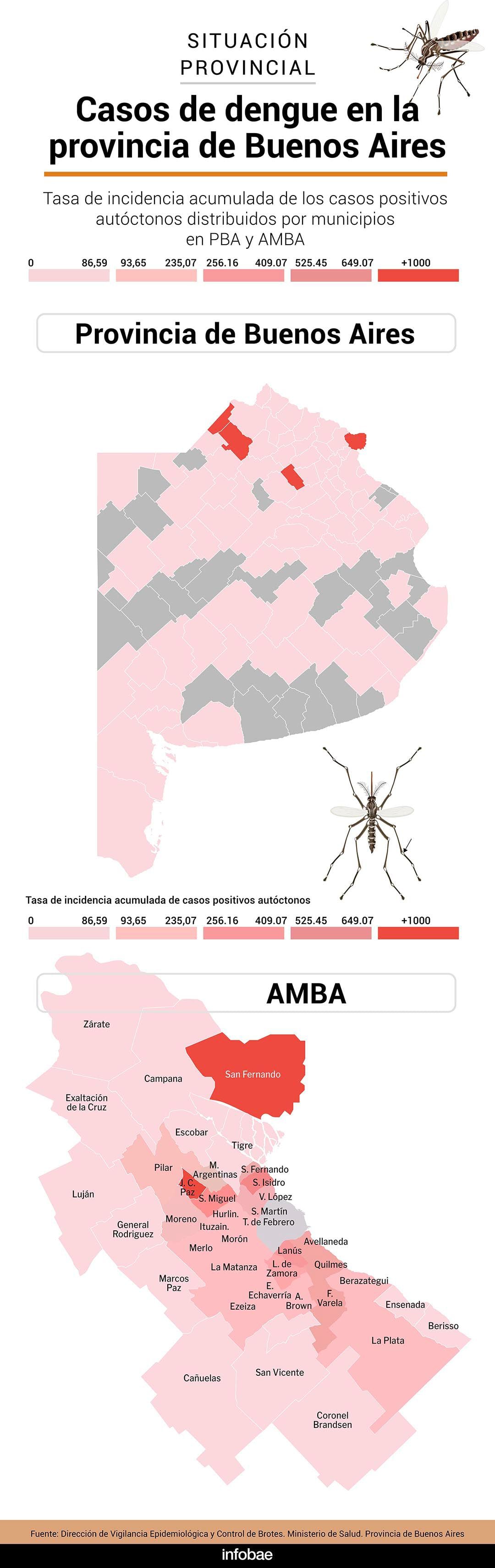 El mapa del dengue en PBA en una temporada récord de casos 