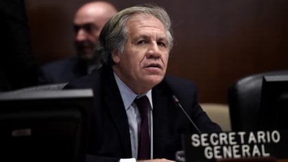 Luis Almagro, secretario general de la OEA (Photo by Olivier Douliery / AFP)