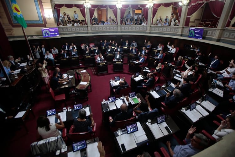 En el Senado se vivió un clima de tensión durante el debate enel recinto (Santiago Salva)