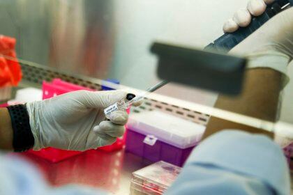 Las pruebas de la vacuna se encuentran en la fase 3 del proceso para acreditarlas (Foto: Diego Azubel/ EFE)

