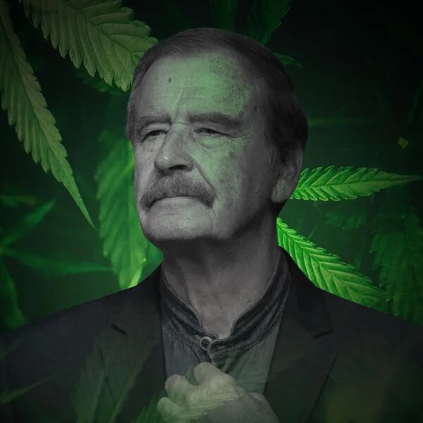 Vicente Fox Con Infobae México El Futuro De La Comercialización De La 