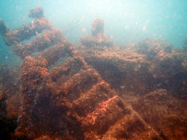 Los restos del vapor alemán están cubiertos por colares a 18 metros de profundidad.