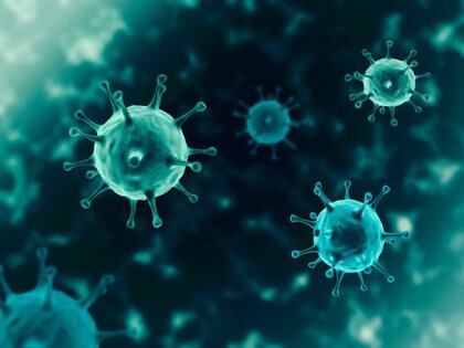 Las alteraciones en la función de las células B y T después de la hospitalización con coronavirus podrían afectar la inmunidad a más largo plazo