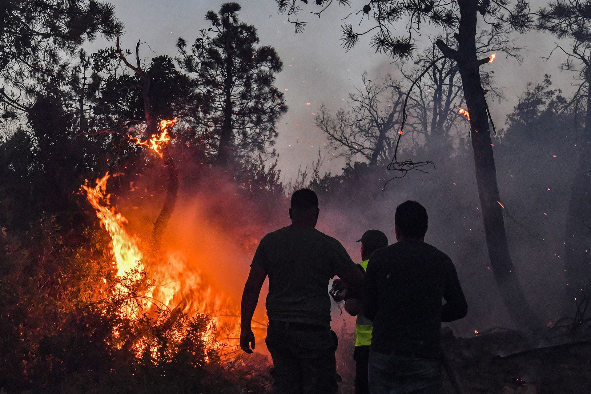 Los incendios se extendieron principalmente en la ciudad costera de Yiyel y en la región de Cabilia (AFP)