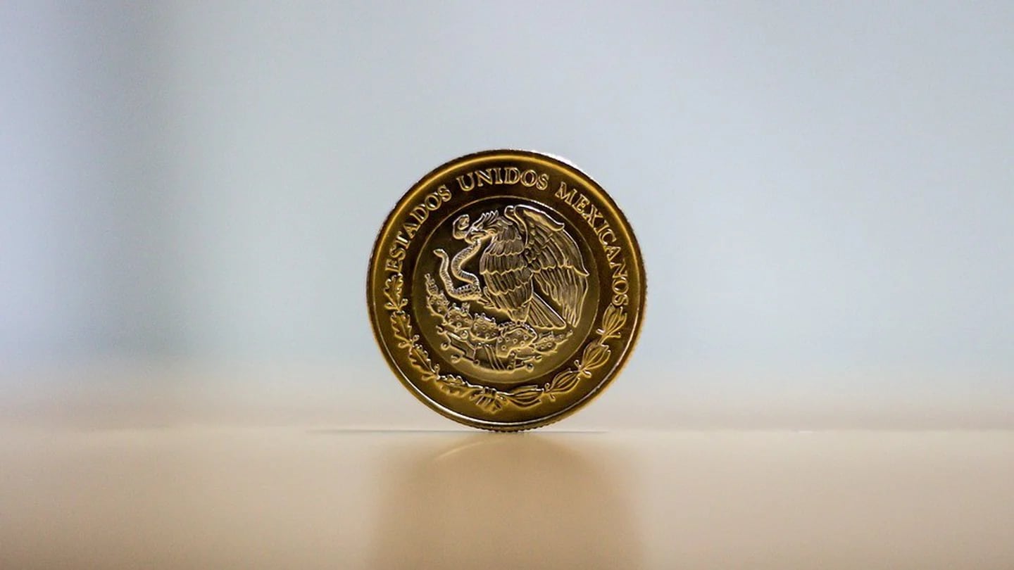 Estados Unidos: cuáles son las monedas antiguas más buscadas – Telemundo  Nuevo México
