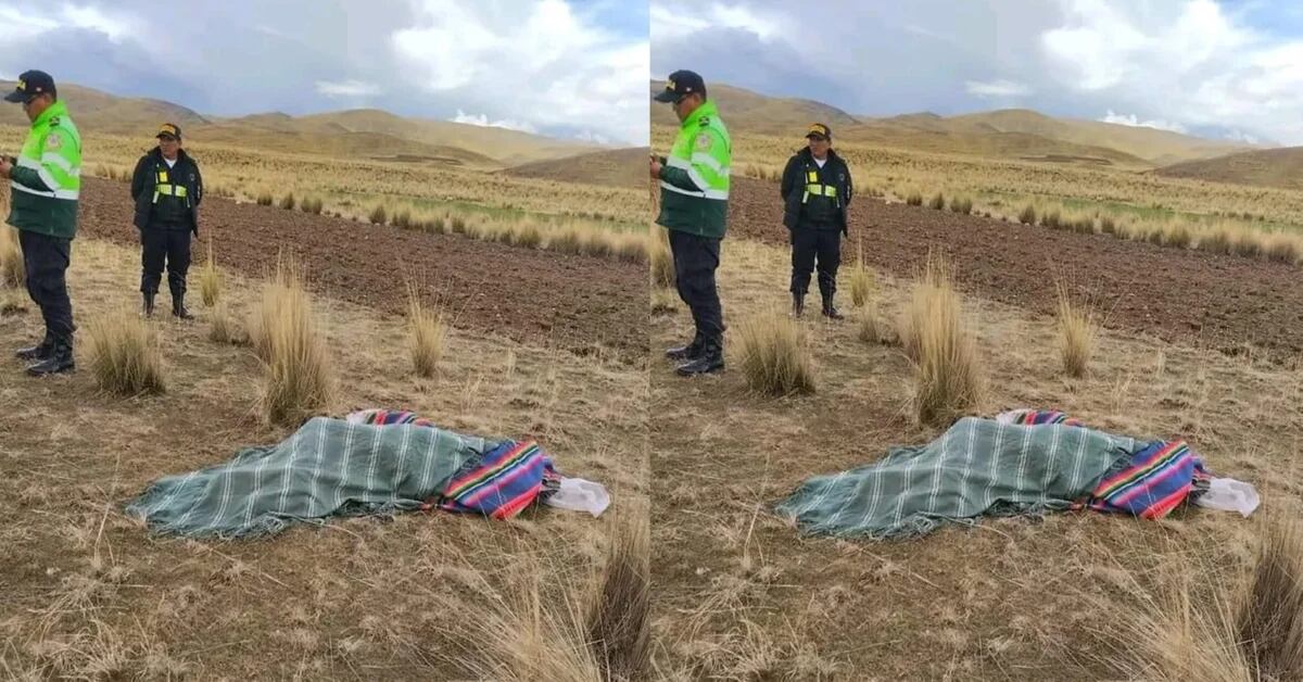 Lightning causes the death of a child and another minor is injured in Puno